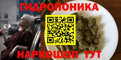 герыч Бийск