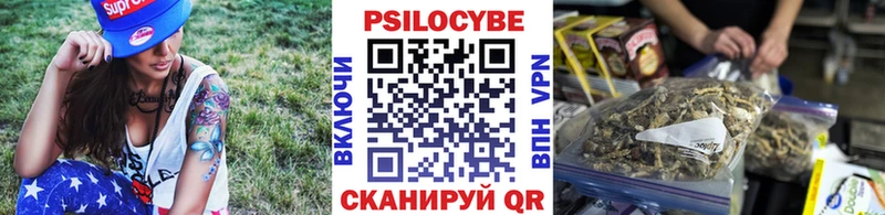 Псилоцибиновые грибы прущие грибы  наркошоп  Приморско-Ахтарск 