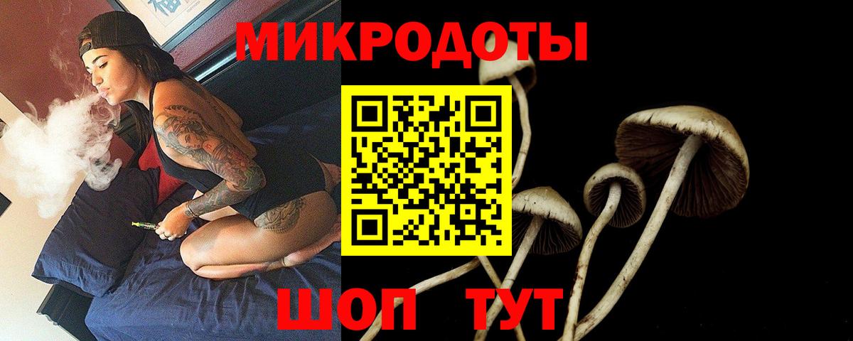 Псилоцибиновые грибы Cubensis Приморско-Ахтарск